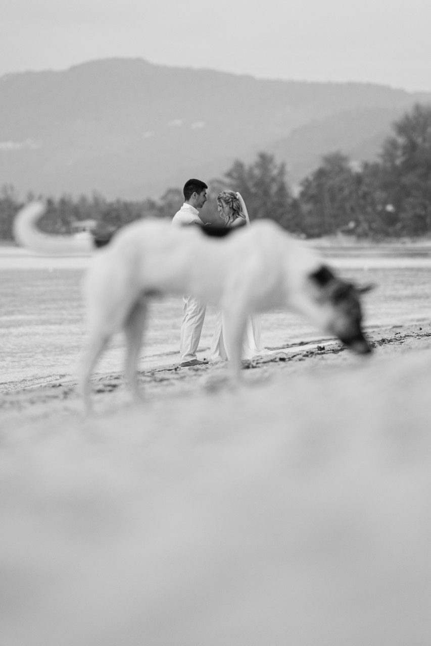 Phuket Wedding Photography & Cinematography Thailand VASANA STUDIO | 40_2